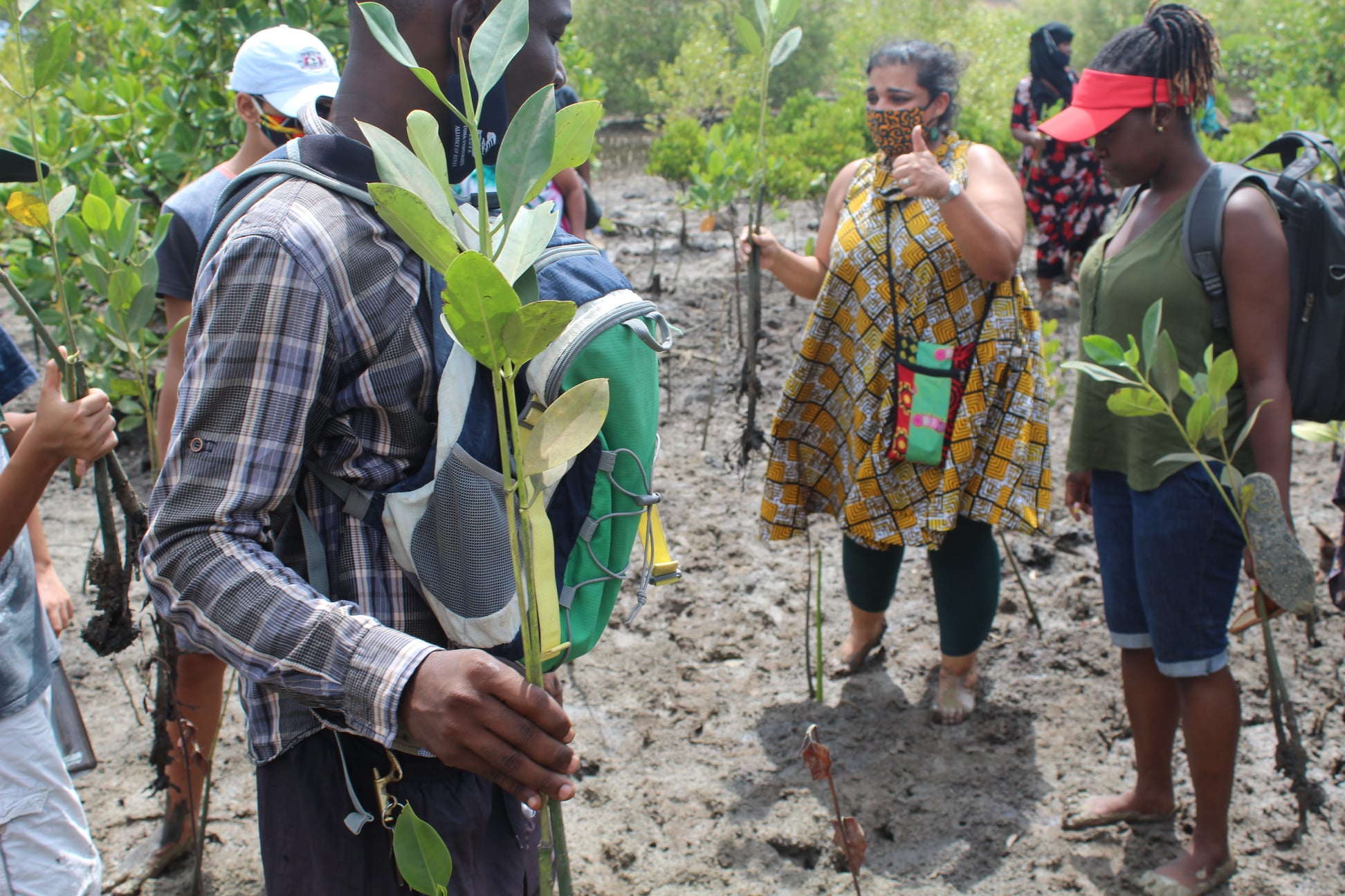 Forest Restoration Agency